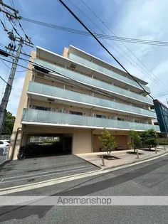 サワー ドゥ白鷺の画像