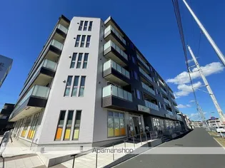 Mノーブルの画像