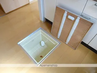 シャーメゾン大和A【1階】の内装