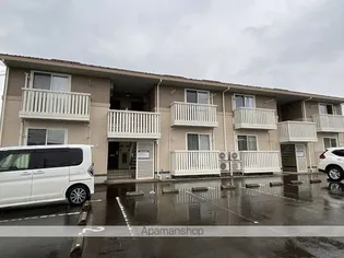 プラシードの画像