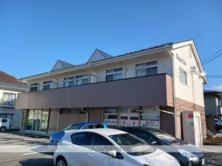 カーサスズキの画像