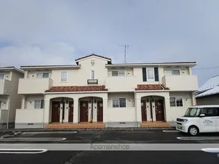 サンフラワーAの画像