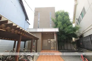 モーブの画像