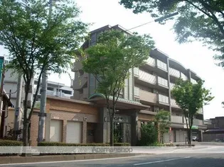 グレイス大城の画像