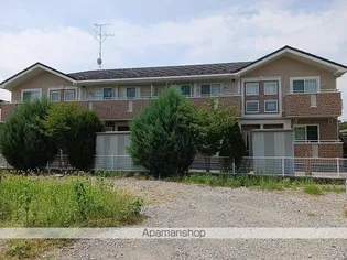 サン ネットの画像