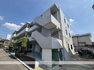 プリマヴェーラの画像