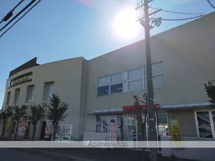 レオパレスESPOIR【305号室】の周辺