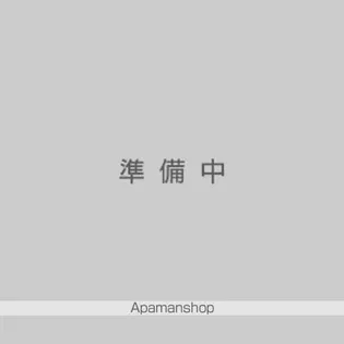 日神パレステージ亀有の画像