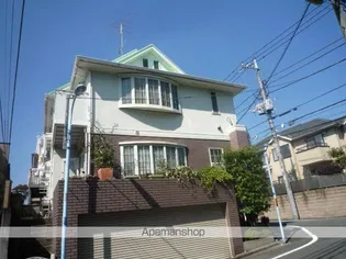 プチメーラの画像