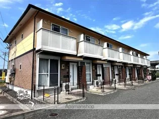 サニーカーサハルの画像