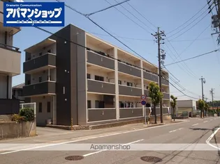 プラセルの画像