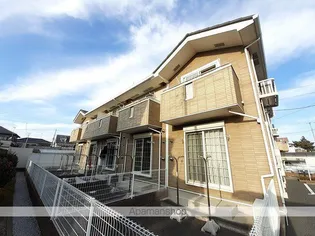 プラシードの画像