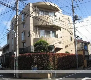 アカンサスの画像