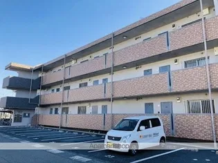 REMYの画像