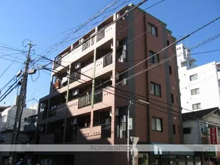 セラフィーノ白金の画像