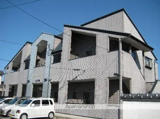 フォルトーナT Jの画像