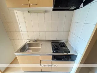 メゾン・ルピナス【101号室】の内装