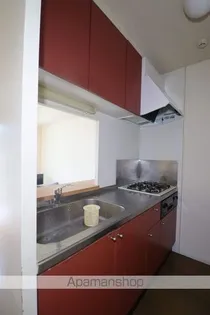 レオパレスブラウンブレッド【1階】のキッチン