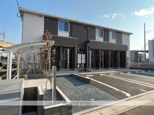 ラウレア モリの画像