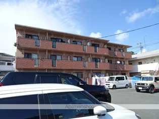 AVANTIIの画像