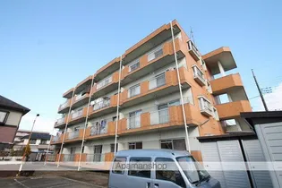 ハイムエバーグリーンの画像