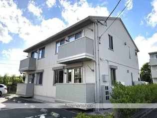 サザンディーズ Bの画像