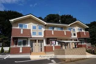 リズ コリーヌの画像