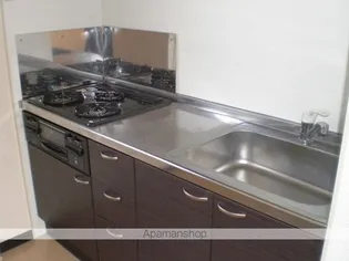 レオネクストエーデルファミリア【115号室】のキッチン