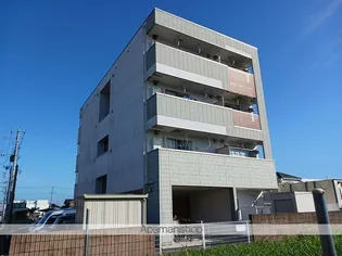 ソティエラシーヌの画像
