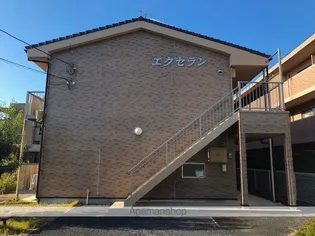 エクセランの画像