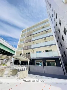 カランコエ川並の画像
