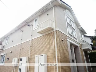 ニュー バレーの画像