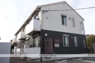 アムールの画像