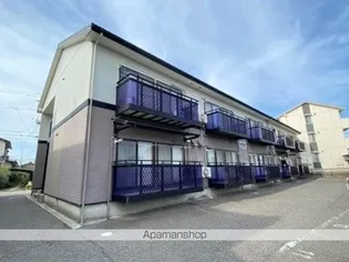 アスターアオキの画像