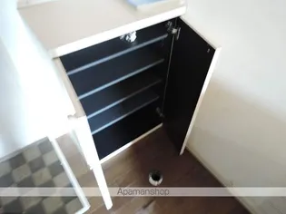 スワンハイツ【2階】の玄関