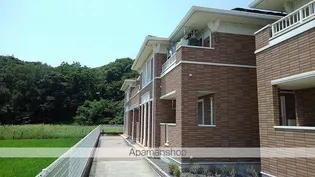 モーダフィオーレBの画像