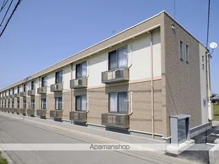 レオネクストアペゼ【210号室】の外観