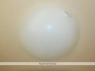 レオネクストとれふる【107号室】のその他画像