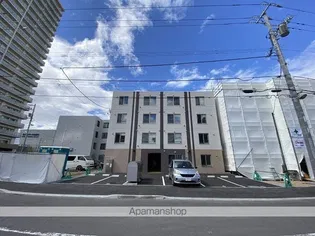テラスケヤキの画像