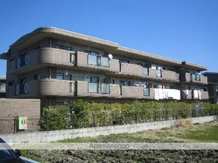 プリマヴェーラの画像