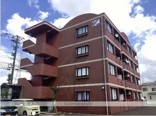 ブラビアンシの画像