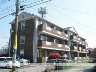 モンシェリの画像