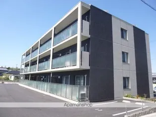 CHIEN AMOURの画像