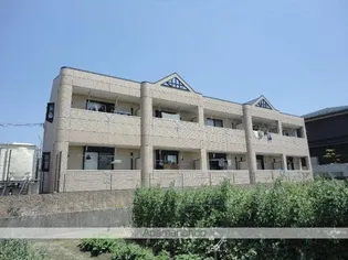 ソレイユ コートの画像