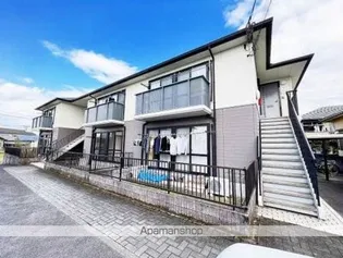 ダイアンサスKの画像