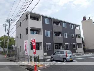 MODESSAの画像