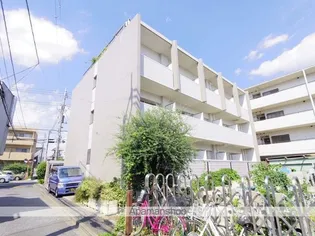 プチ シェルの画像