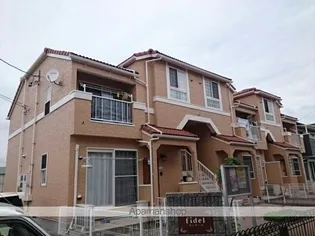 フィデールの画像