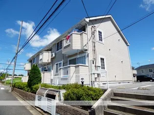 ベルデュール白羽C【202号室】の外観