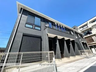 ノッテ ステラータの画像